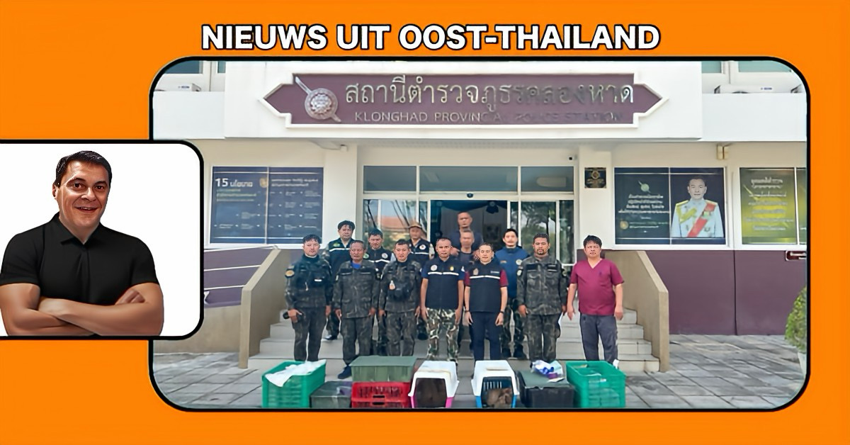 366 wilde dieren gered uit suikerrietveld in Oost-Thailand, de autoriteiten denken dat een internationale smokkelbende aan de gang is.
