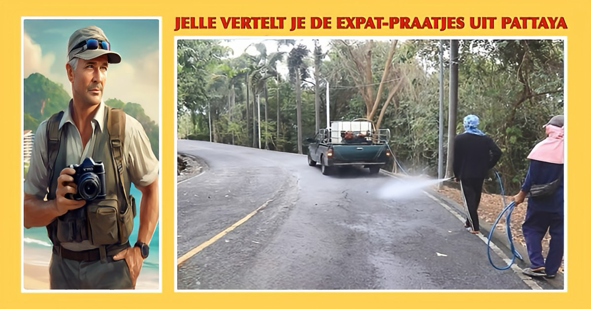 Pattaya pakt het teken- en vlooienprobleem aan in Pratumnak Hill Park.