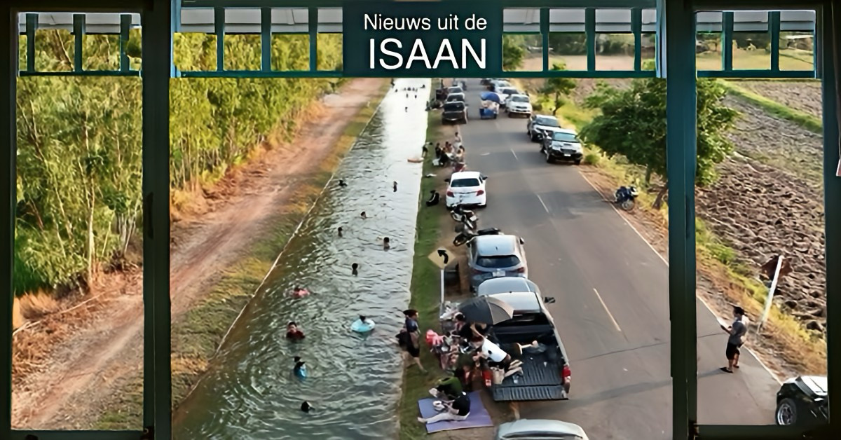 De aanhoudende warmte in Thailand brengt zowel mensen als dieren samen in een verfrissende duik!