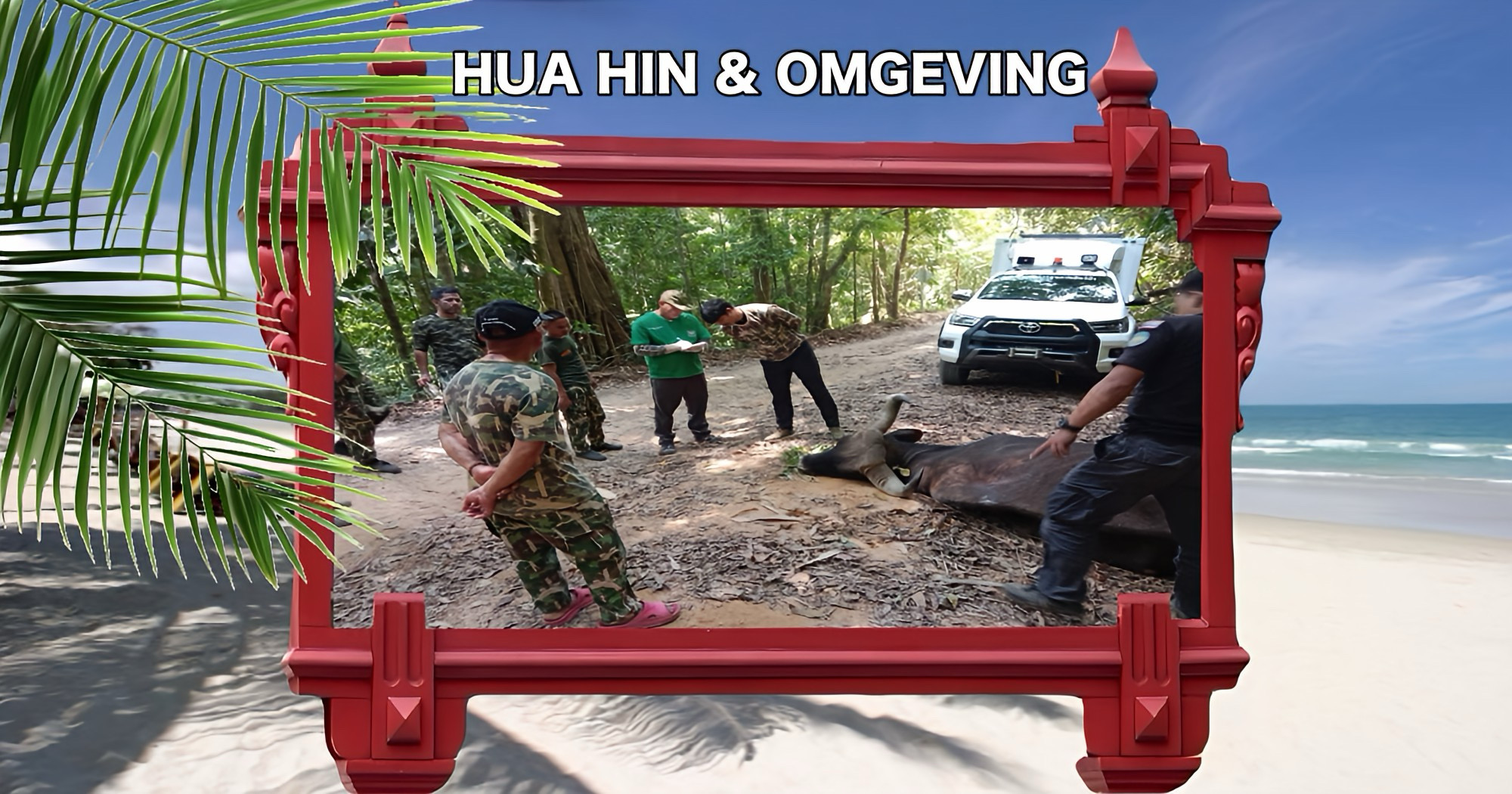 Het mysterie rond kadavers in Kaeng Krachan en Kui Buri in Centraal-Thailand zijn opgehelderd.