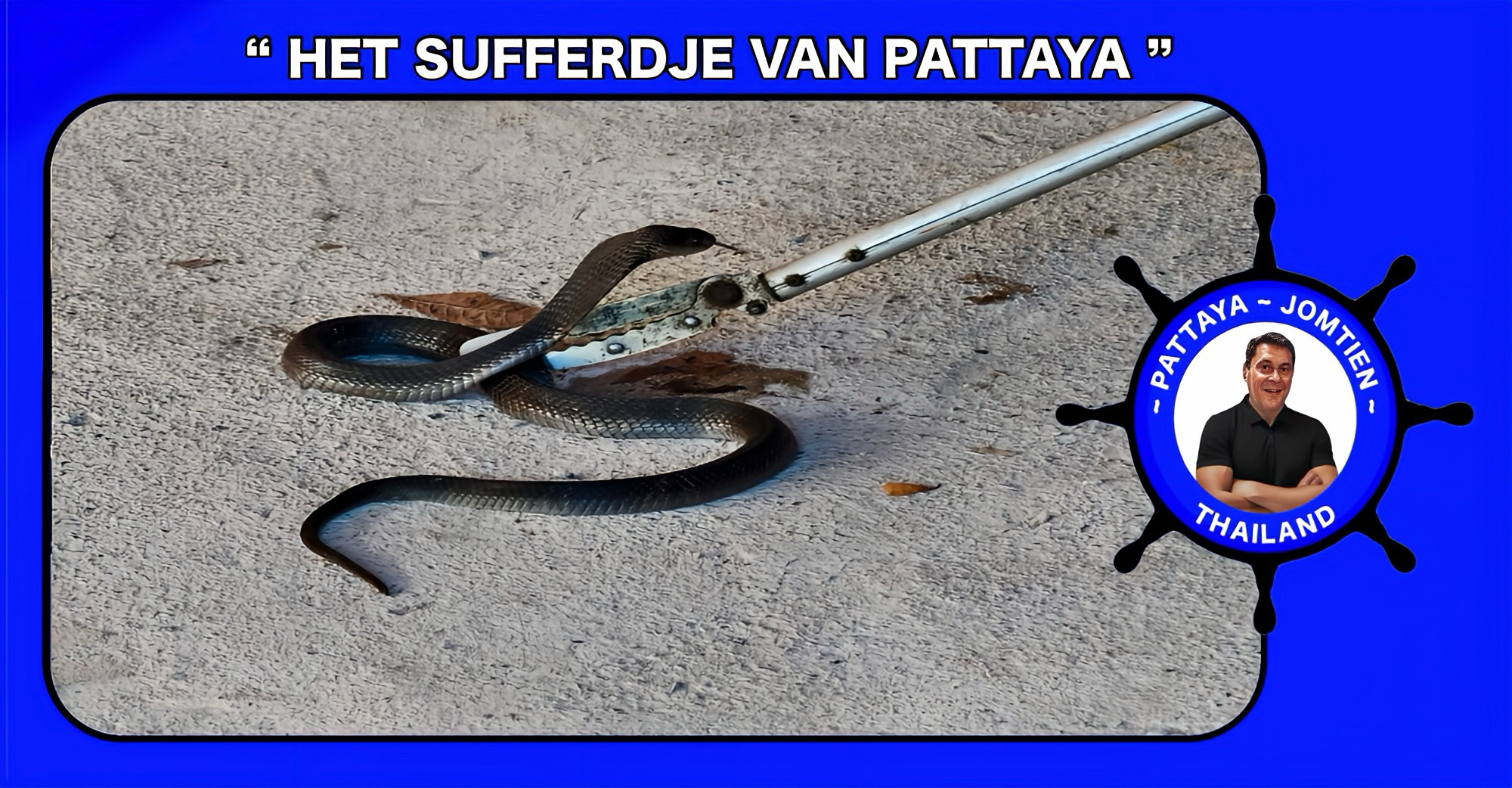 Huiseigenaar in Pattaya ontsnapt aan de giftanden van een agressieve cobra.