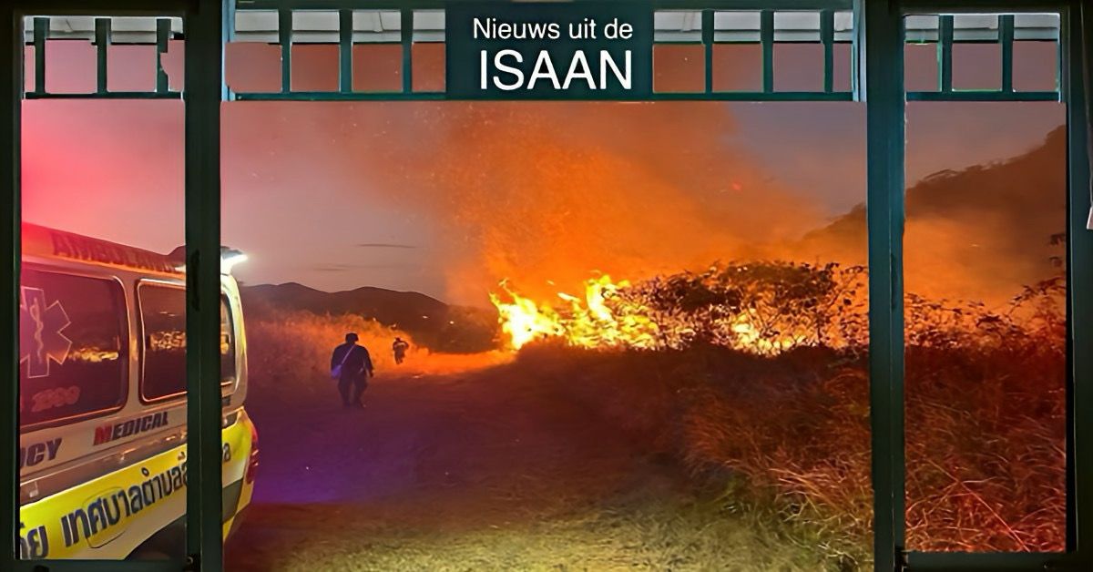 Het verjagen van een wilde olifant in Noordoost-Thailand veroorzaakte een enorme bosbrand in het Nationaal park Khao Yai