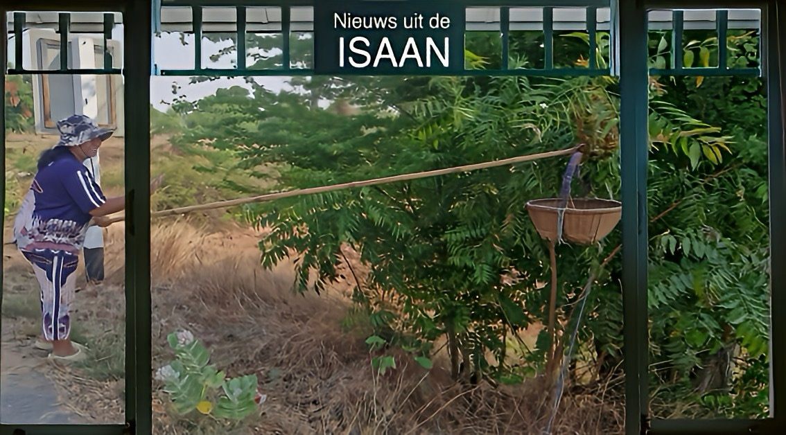 In het droge seizoen bloeit de handel in rode miereneieren in Noordoost-Thailand, wat een belangrijke inkomstenbron vormt voor Ban Don Tat Ruea.