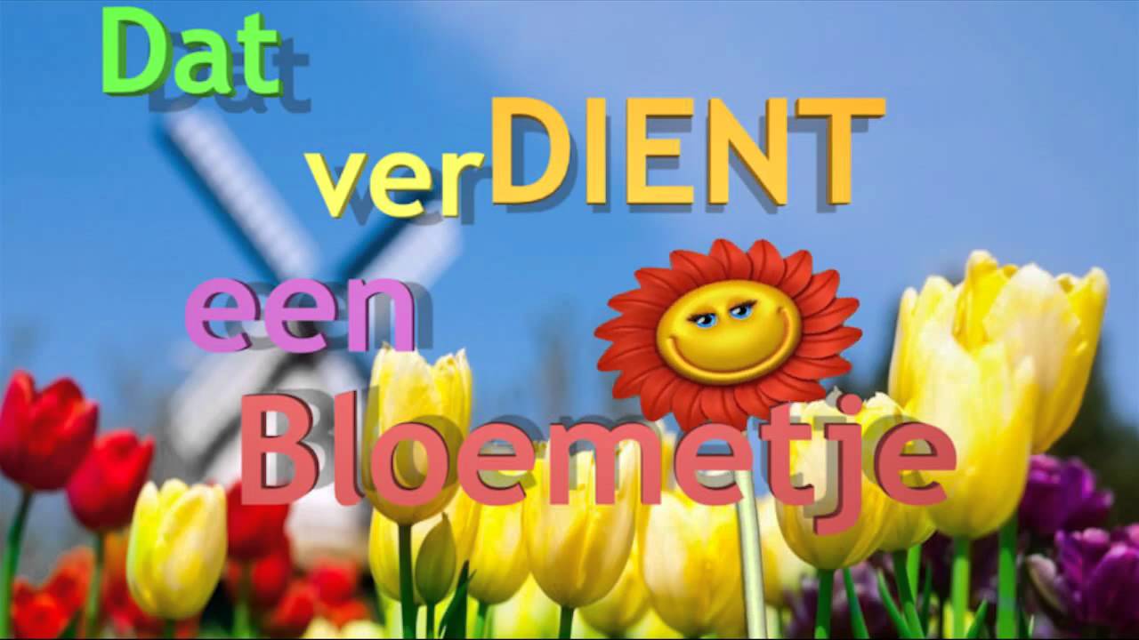 Olleke Bolleke heeft met zijn berichtgeving over Thailand meer dan 1,6 miljoen weergaven gegenereerd in het afgelopen kwartaal. Dit is een goede reden om lid te worden van de nieuwsbrief.