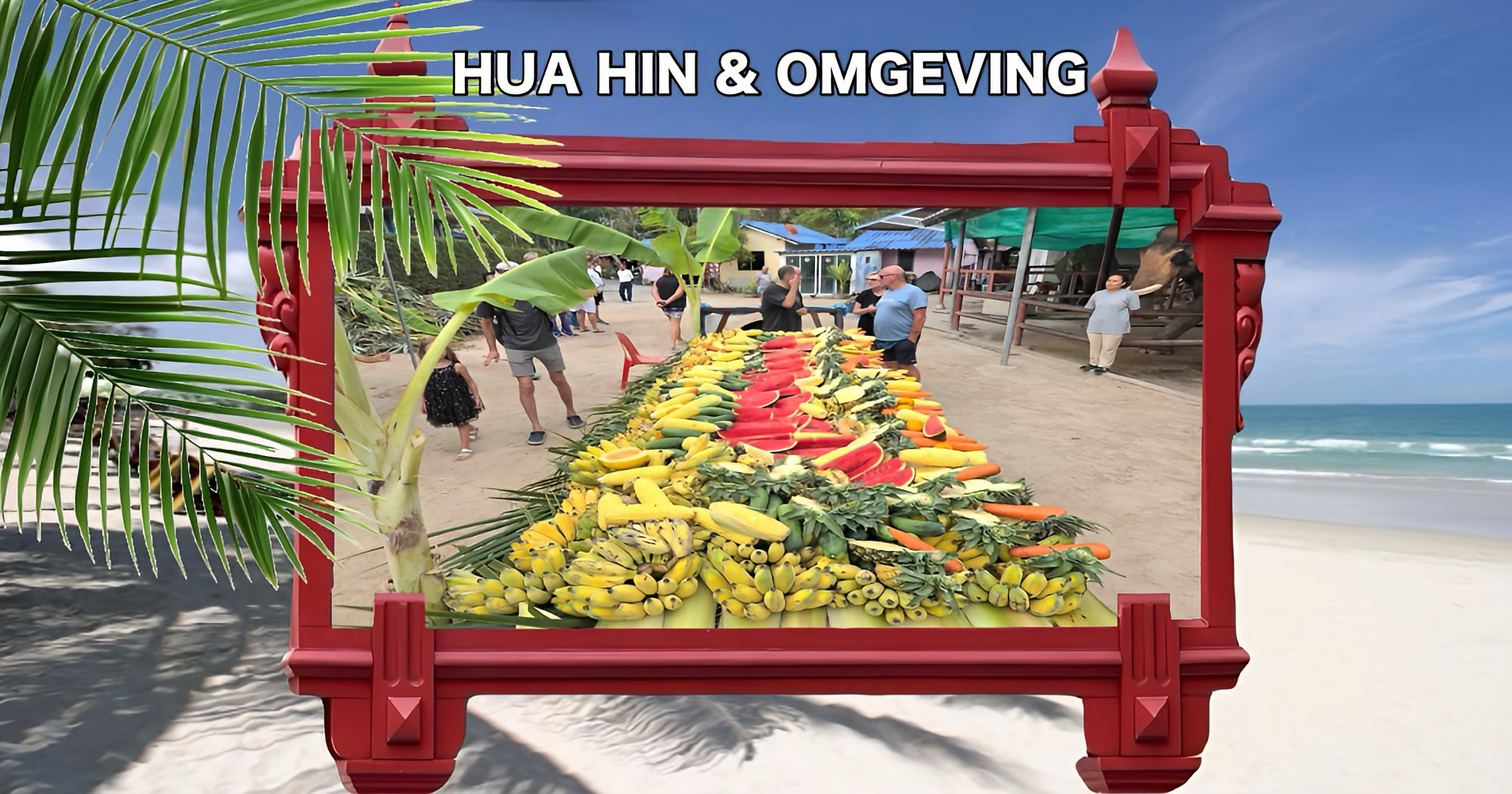 Het was feest in Hua Hin, de Hasisdin Stichting trakteerde vier bejaarde olifanten op een enorm fruitbuffet.