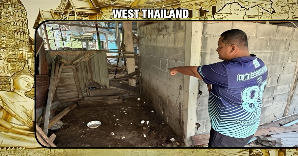 Een wilde tijger heeft in West-Thailand een varken verslonden, wat de boer in rouw heeft gebracht om zijn geliefde “Porky”.