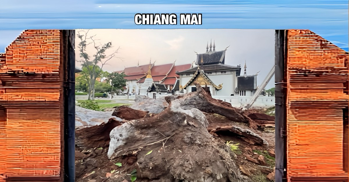 Storm beschadigt 200 jaar oude symbolische boom in Noord-Thailand; stadsbestuur van Chiang Mai zal boom nader inspecteren.