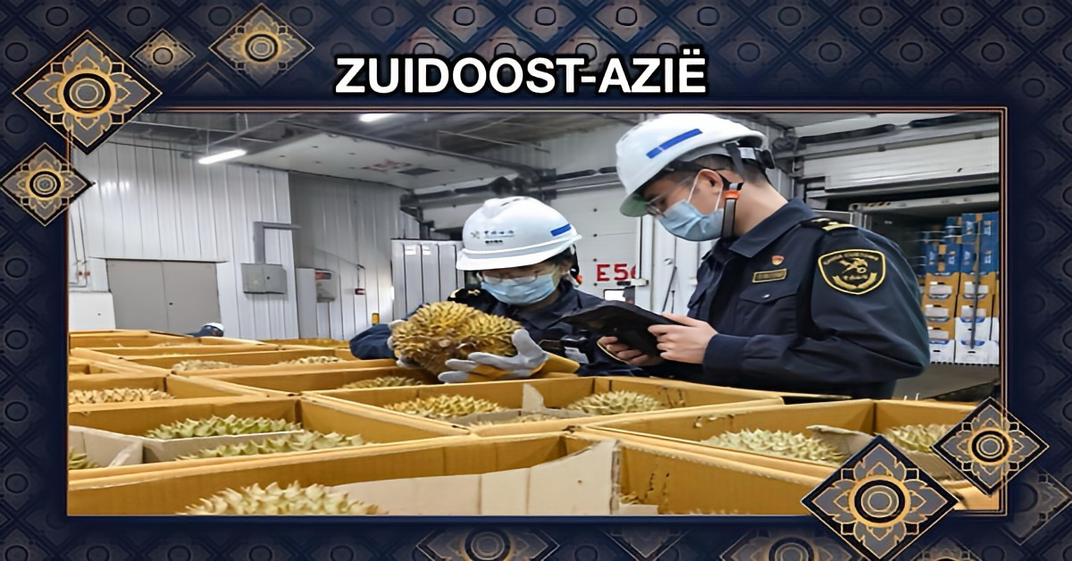 Thaise kwekers gaan in mei in China voor de “Dol-Dwaze-Durian-Dagen”zorgen!