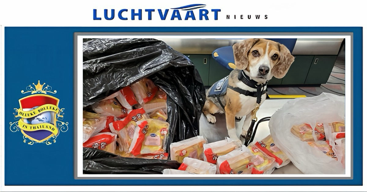 K9-speurhond spoort op de luchthaven van Washington D.C. 100 Thaise varkensvleesbroodjes op, de lekkernij uit Thailand werd direct in beslag genomen.