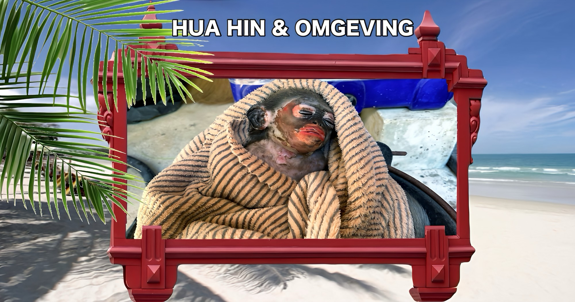 Hulpdiensten redden een aap na aanraking met stroomkabels bij een militair kamp in Prachuap Khiri Khan.