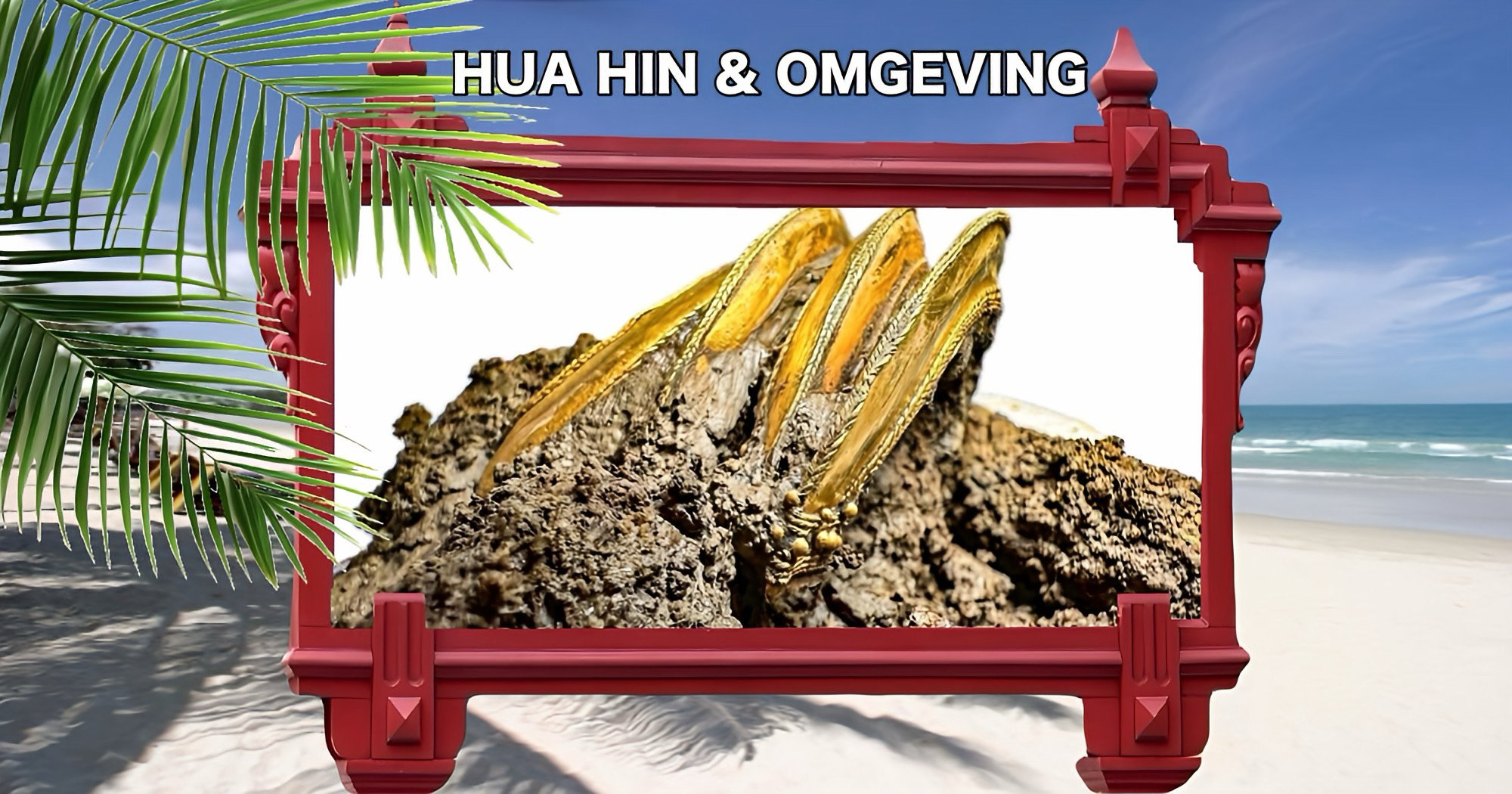 Oude vorstelijke begraafplaats onder een rijstveld in Centraal-Thailand ontdekt.