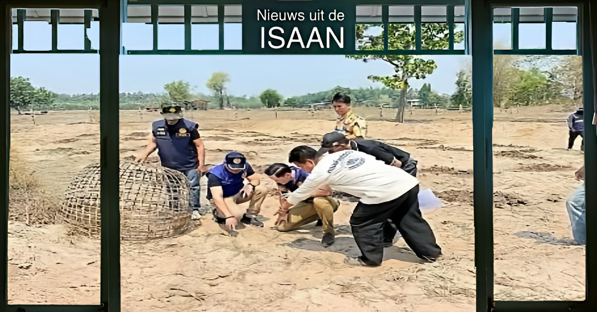 Paniek in Noordoost-Thailand, een katachtig dier, mogelijk een luipaard, heeft het op vee gemunt.