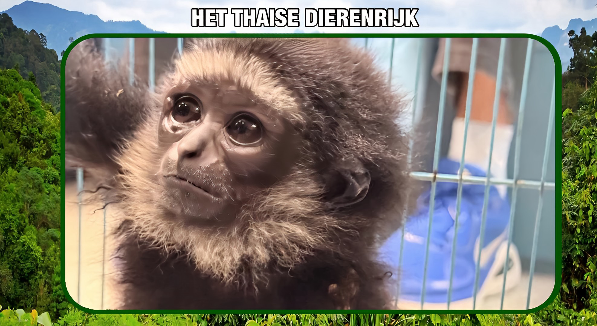 Autoriteiten in Thailand arresteerden een Indiase man voor illegale handel in wilde dieren.