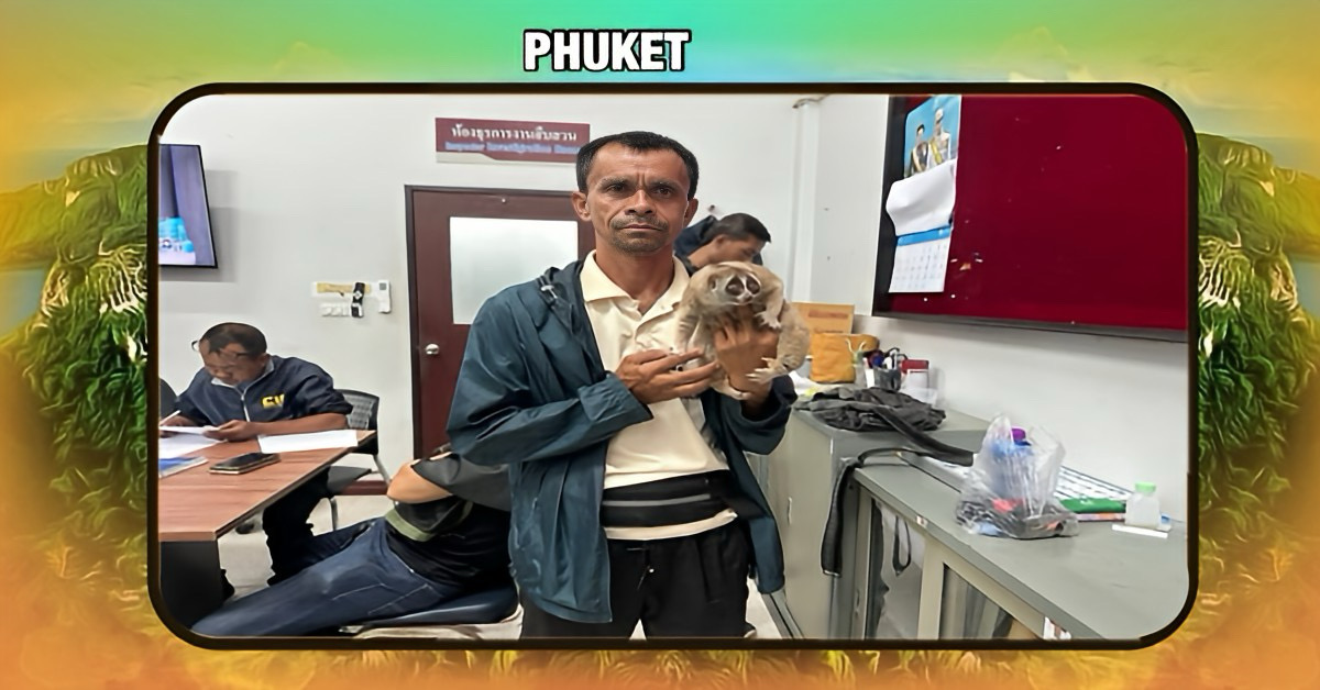 In Zuid-Thailand is het illegale bezit en exploitatie van beschermde dieren in Phuket aan het licht gebracht.