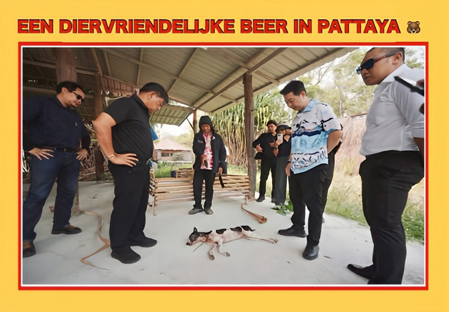Hoewel zwerfhonden in Pattaya een groot probleem vormen, trekt de burgemeester zich het lot van een mishandelde hond aan.