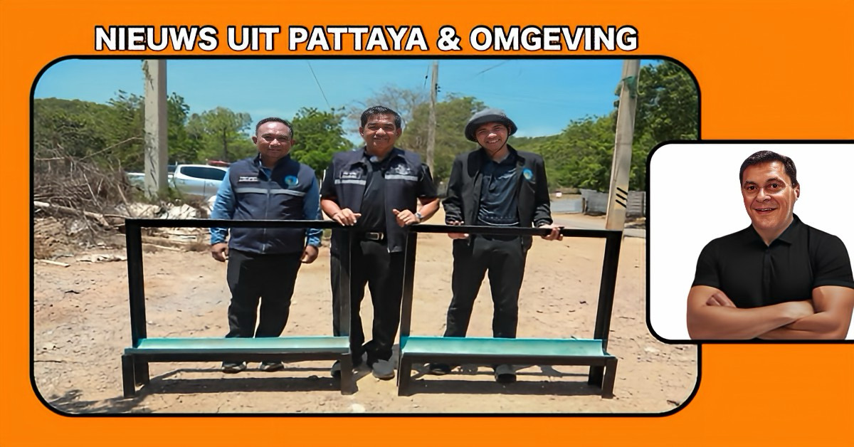 Pattaya zet stappen voor duurzaam beheer van zwerfhonden op Koh Larn.