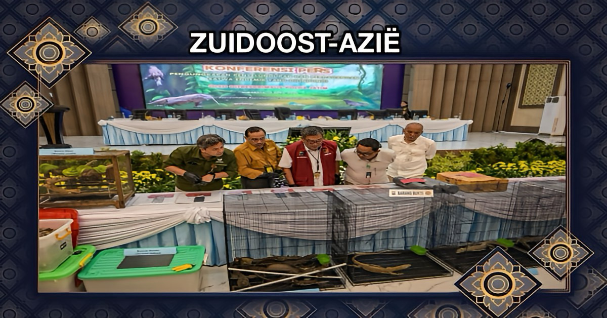 Zes verdachten in Indonesië opgepakt voor smokkel van komodovaranen naar Thailand.