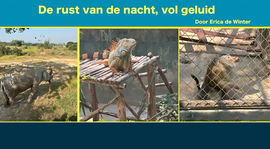 De rust van de nacht, vol geluid!