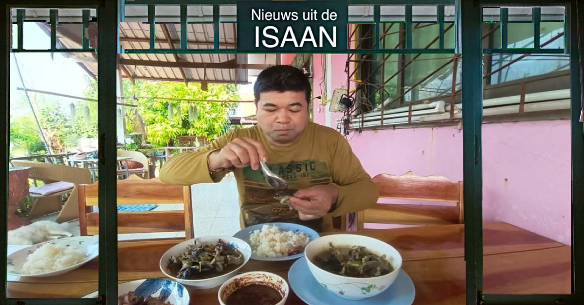 De regen maakt een einde aan het leven van kikkers in Noordoost-Thailand, smullen maar!