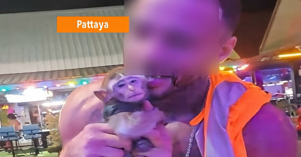 WEERZINWEKKEND: Buitenlander verstopt in Pattaya een babyaapje in zijn broek en veroorzaakt daarmee grote verontwaardiging.