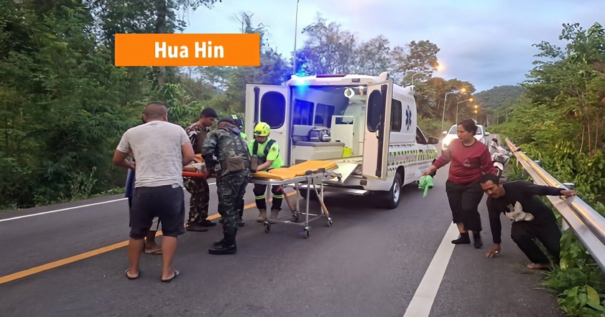 Drie arbeiders gewond bij aanval door wilde olifant in Centraal-Thailand.