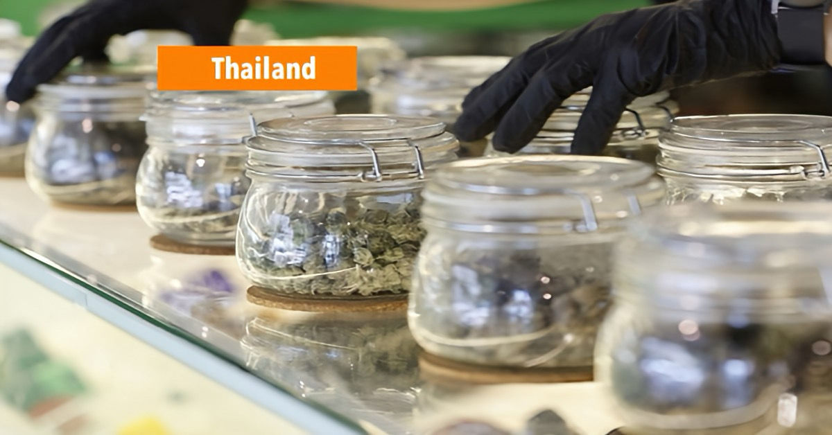 Thailand verscherpt de controle op medische cannabis: wat betekent dit voor de verkopers en gebruikers?