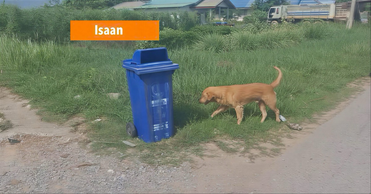 Een zwerfhond is bij een kruispunt in Noordoost-Thailand drugsmokkelaars te snel af en knabbelt aan achtergelaten pakketten drugs.