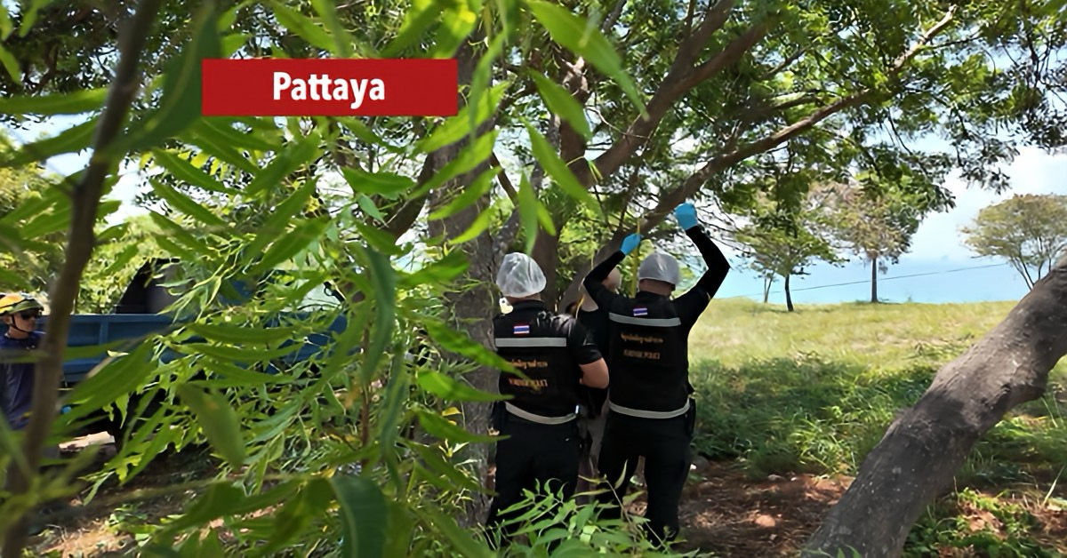 Buitenlandse man kiest ervoor om op Koh Larn bij Pattaya een einde aan zijn leven te maken, politioneel onderzoek loopt nog.