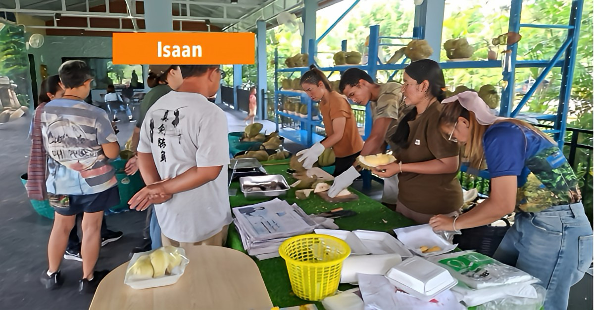 Welkom bij Durian Orchard 190, kom, proef, ontspan en steun de lokale boeren.