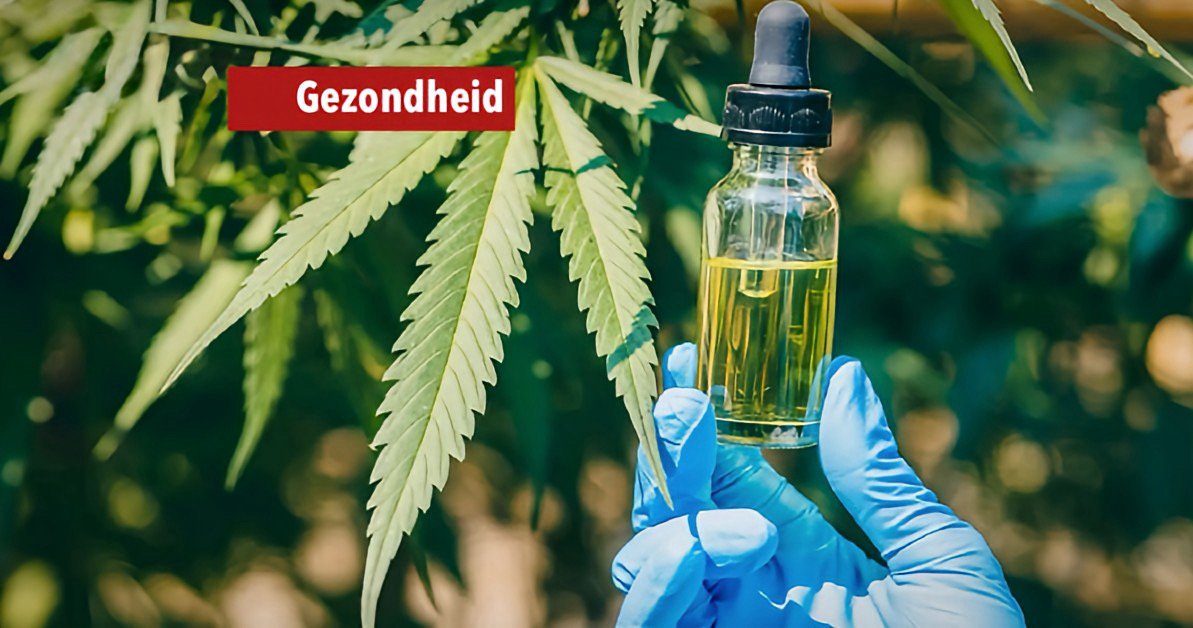 Het hernieuwde cannabisbeleid van Thailand kent naast nieuwe regels ook economische ambities.