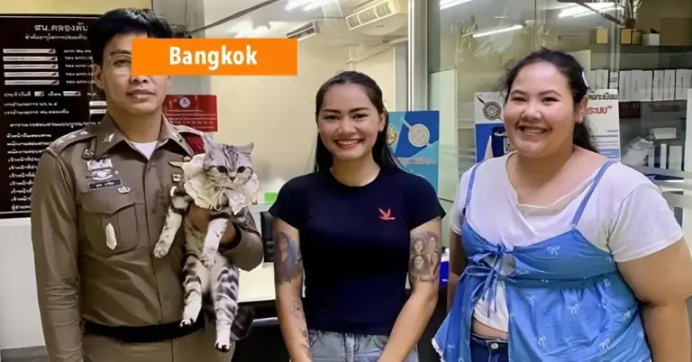 Politie in Thailand “arresteert” kat na krab en bijt aanvallen op overheidspersoneel.