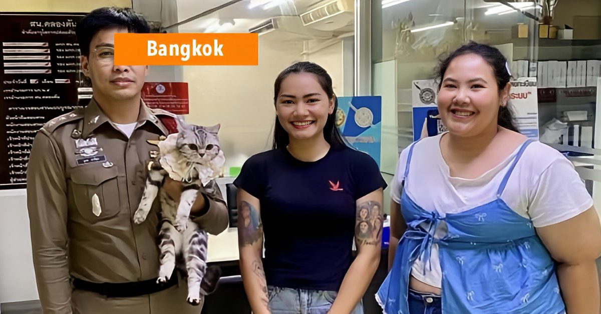 Politie in Thailand “arresteert” kat na krab en bijt aanvallen op overheidspersoneel.