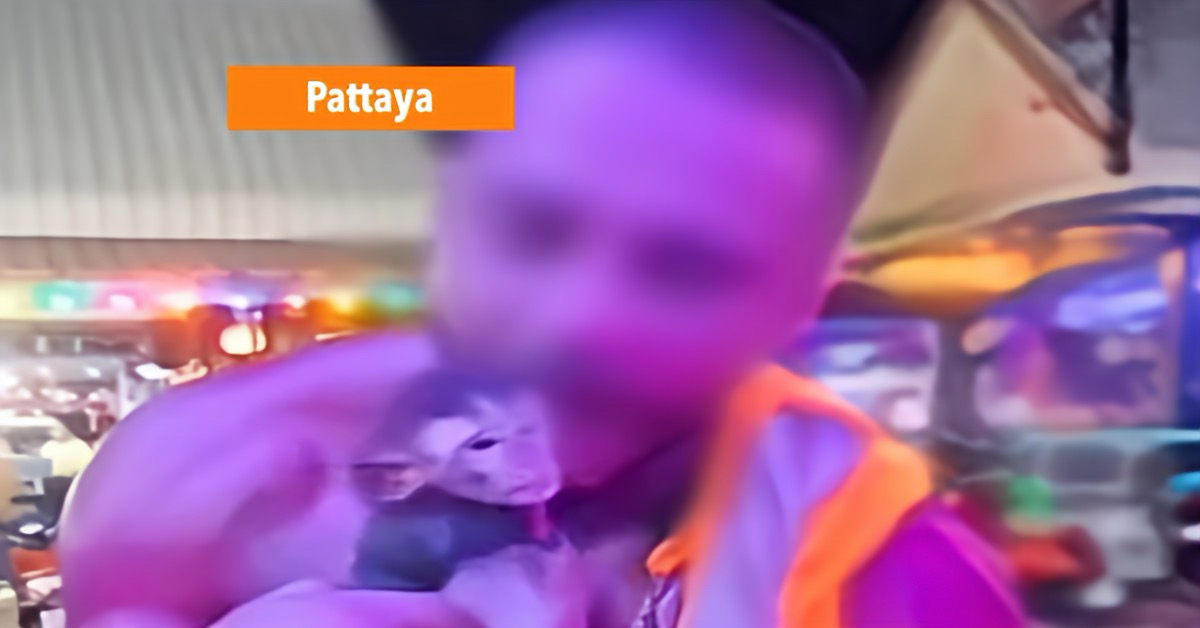 UPDATE: Buitenlandse man in Pattaya “in de aap gelogeerd” na gruwelijke mishandeling van een jonge aap in Jomtien.