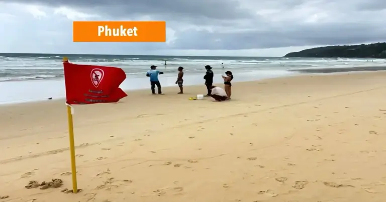 Opgepast, op de stranden in Zuid-Thailand zijn Portugese oorlogsschipkwallen aangespoeld.