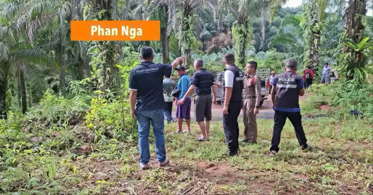 Olifant in Zuid-Thailand doodt zijn mahout en verwondt een buitenlandse toerist.