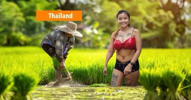 Sekstoerisme helpt Thailand de tekorten aan kunstmest opvangen, het afval van toeristen wordt verwerkt tot waardevolle mest.