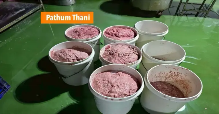 Vleesverwerking’s fabriek in Centraal-Thailand onmiddellijk gesloten na ontdekking van wanordelijke praktijken.