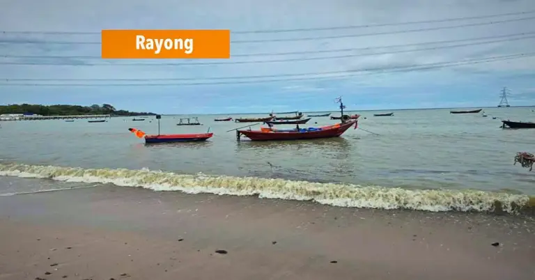 Milieucrisis in Oost-Thailand, de autoriteiten van Rayong trekken aan de alarmbel.