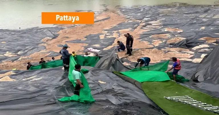 Hulpdiensten in Oost-Thailand zetten alles op alles om meer dan twintig honden te redden.