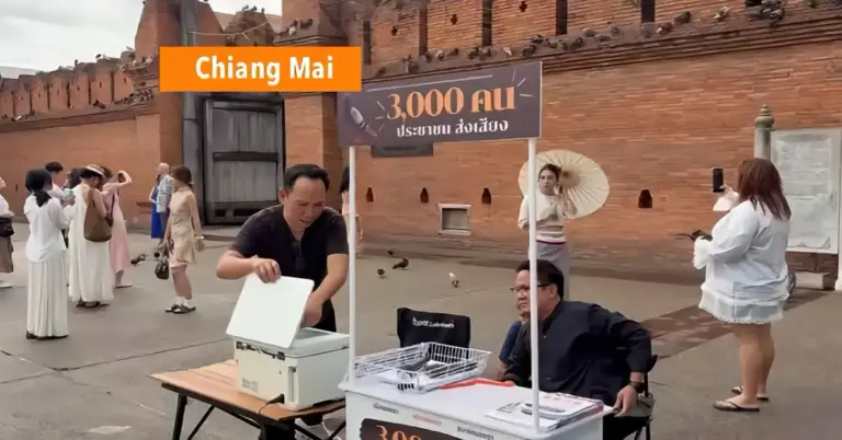 Burgers in Chiang Mai starten een handtekeningenactie om een strenge duivenverordening bij Tha Phae Gate af te dwingen.