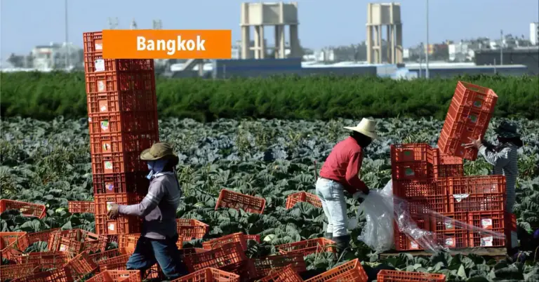 Inwoners uit Thailand zijn bereid alles te doen voor een betere toekomst, zelfs naar Israël te emigreren.