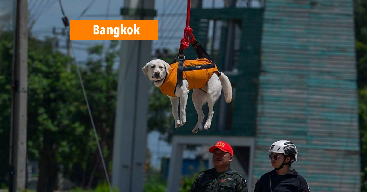 K9 USAR en legeringenieurs zetten drones in om reddingsacties in Thailand te versterken.