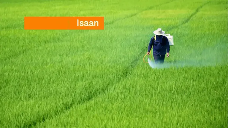 Het gebruik van pesticiden in Thailand, waarmee een verbod dat faalde, waarbij de rekening bij de bevolking blijft liggen.