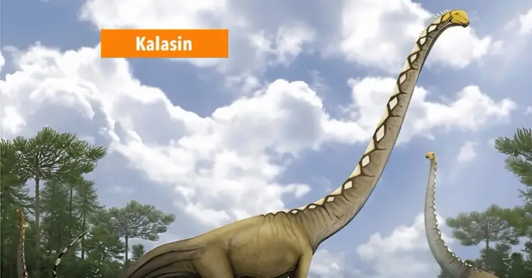 Nieuwe langnekdinosaurussoort ontdekt in Noordoost-Thailand