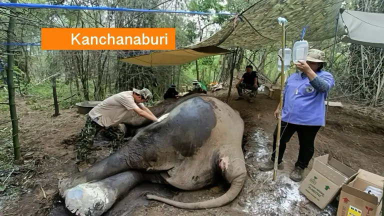 UPDATE | Het blijft een spannende reddingsactie voor ‘Sida Thong Muan’ in West-Thailand.