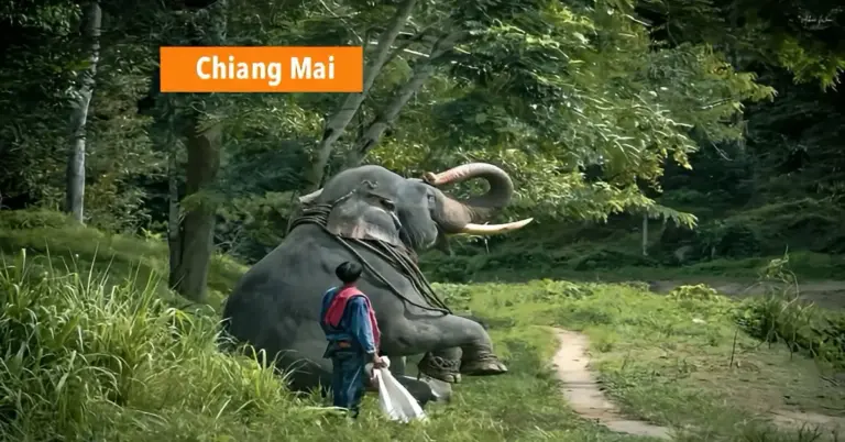 Thailand is momenteel in de greep van de strijd om een bejaarde olifant vrij te kopen, maar er blijft nog een tekort van 900.000 baht. 