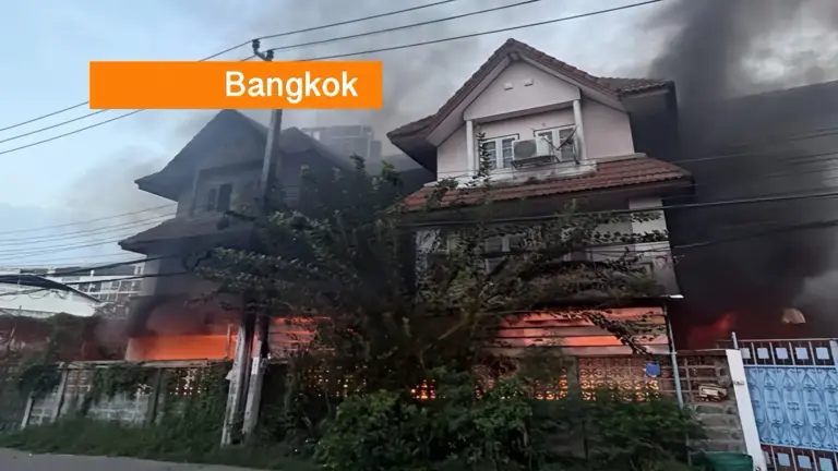 Een Thais echtpaar en hun 73 katten omgekomen bij een brand in hun rijtjeshuis in Bangkok.
