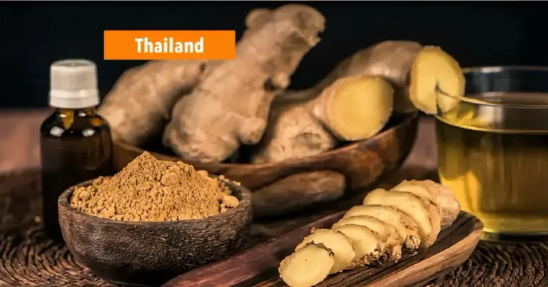 Onze lezer John Pirovano weet dat de gemberwortel tegen van alles helpt en steeds populairder wordt en hoopt snel weer in Thailand te zijn.