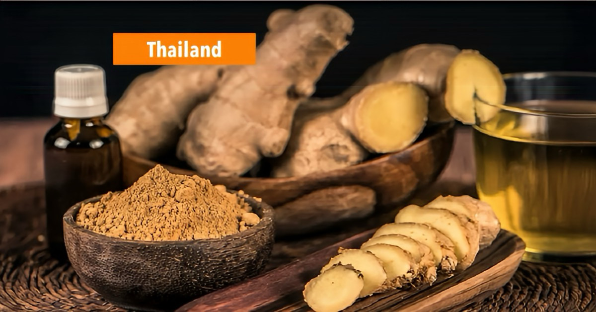 Onze lezer John Pirovano weet dat de gemberwortel tegen van alles helpt en steeds populairder wordt en hoopt snel weer in Thailand te zijn.