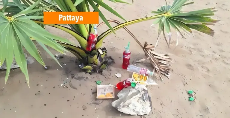 Cultuurbotsing op strand in Thailand: toeristen namen onbewust offer-kokosnoot mee voor foto